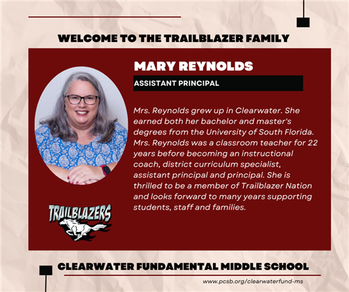 Meet the team 