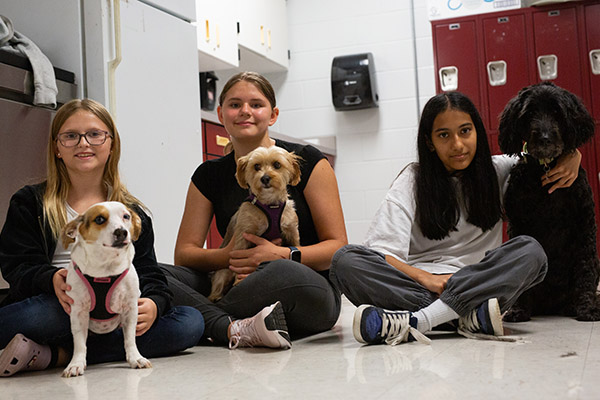  Intro to Dog Grooming