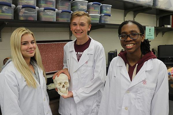 STEM Summer Innovation Camps - Body Works