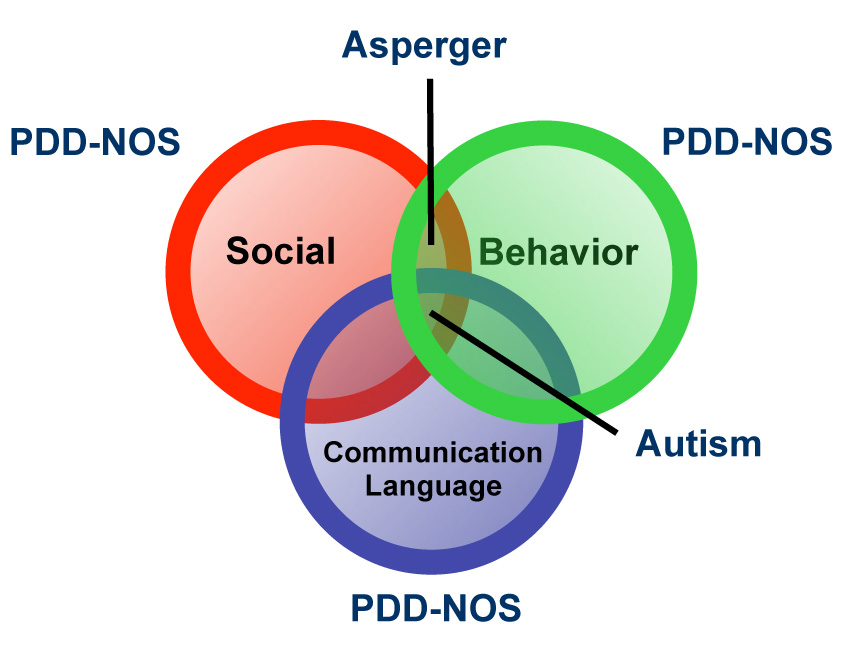 Autism labeled graphic 