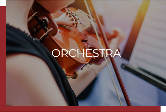   Orchestra 