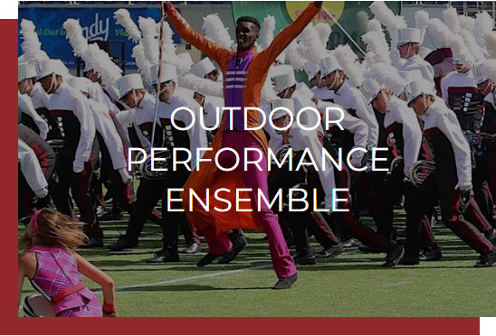  The Tarpon Springs Outdoor Performance Ensemble (TSOPE) – the “Marching Band” 