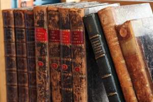 language_arts language_arts