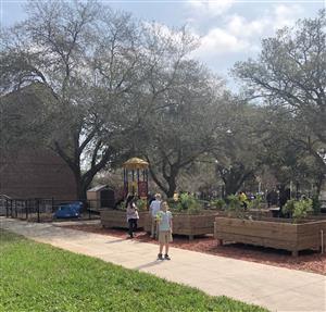 students working in the garden 