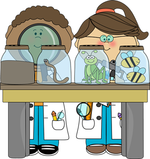 Science Fari Clipart 