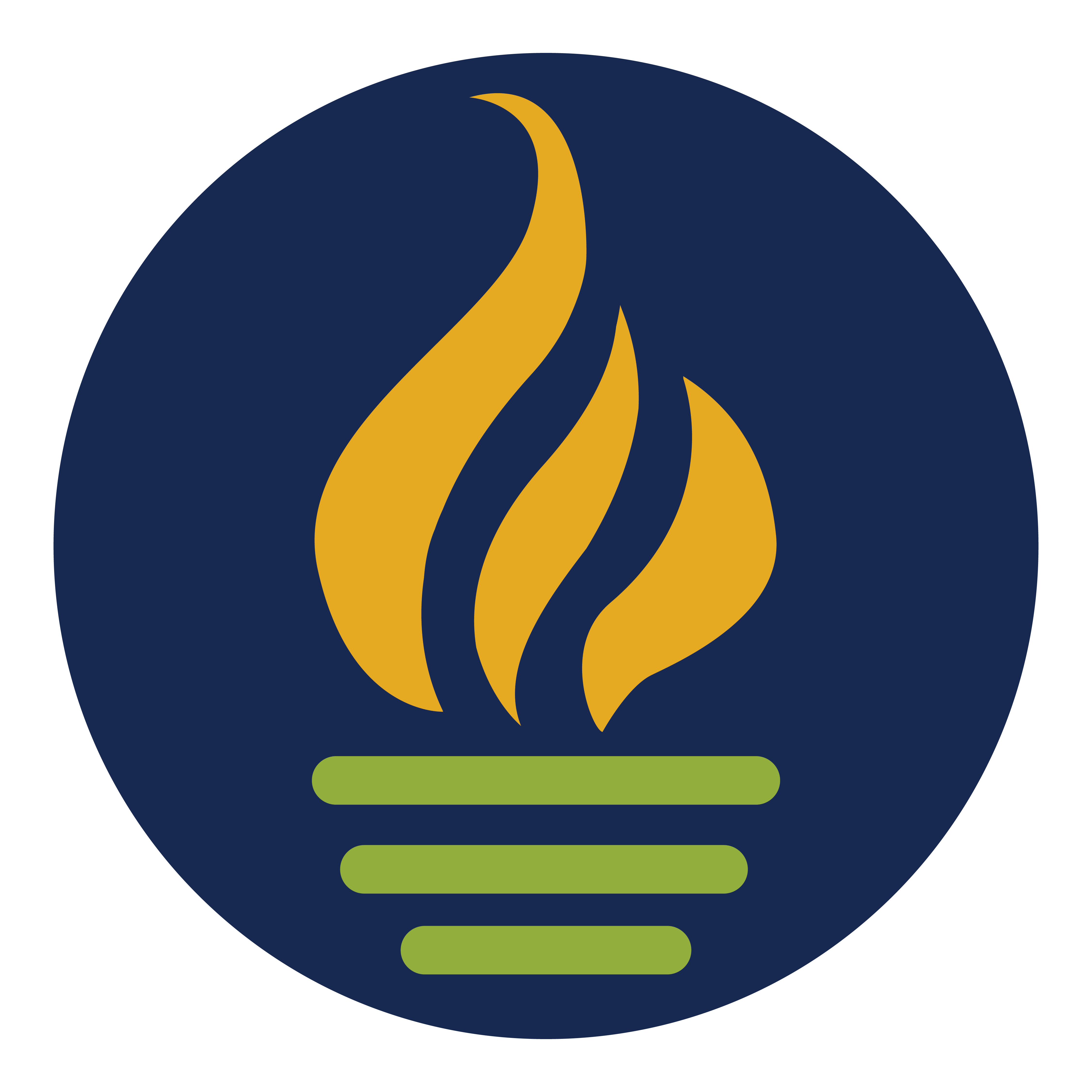 PCS Circle Flame logo