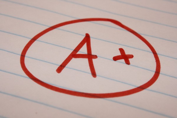 Grades (2024-25)
