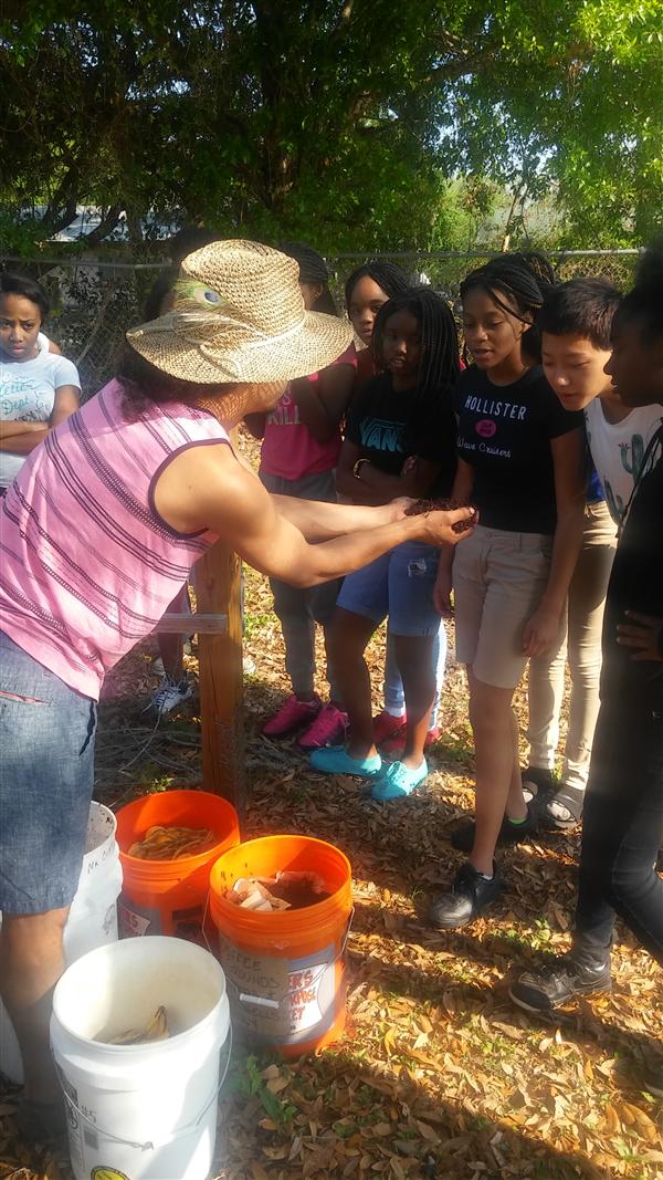 Working in Maximo's Edible Peace Patch.