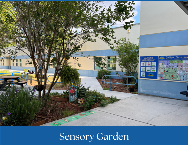 Sensory Garden