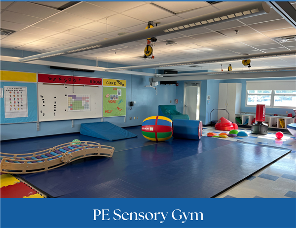 P.E. Sensory