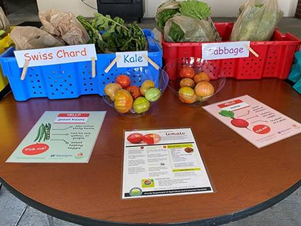 Gibbs High Ex Trans class run by Teacher and School Garden Champion Ms. Anna (Betty) Scott started a food pantry where they also offer their fresh garden produce.