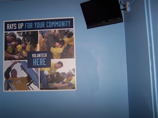 Tampa Bay Rays Photo