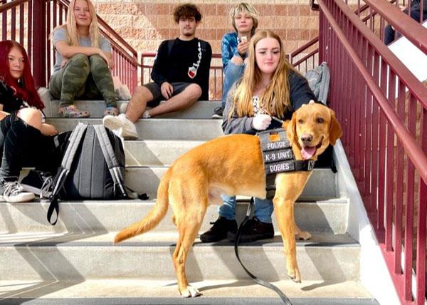 Bayside High students and staff participated in Red Ribbon Week.