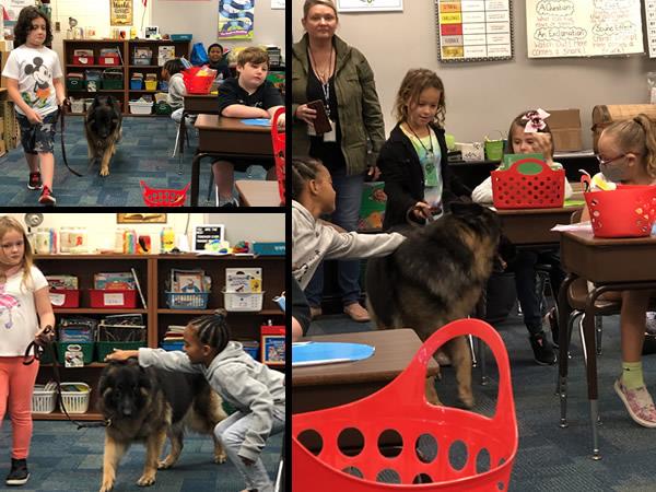 Dunedin Happy Tails visited 2nd graders at San Jose Elementary during the Great American Teach In. 