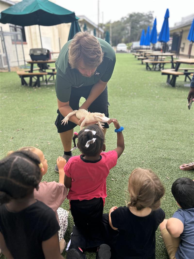 Student petting alligator at the Great American Teach In